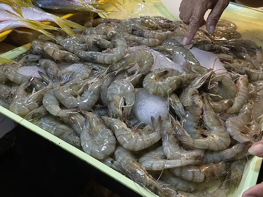 Verse scampi op ijs