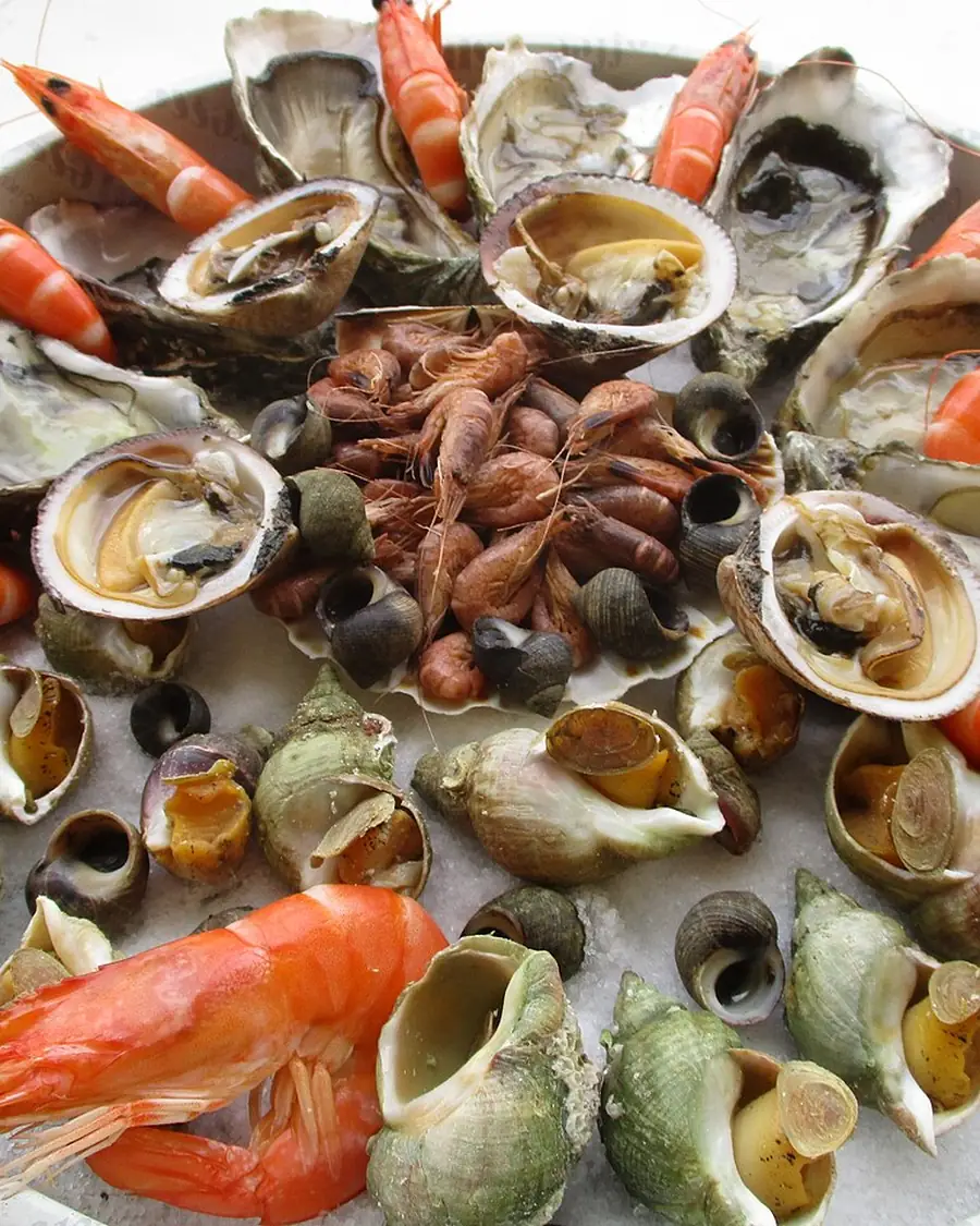 Schotel fruits de mer met oesters, langoustines en wulken